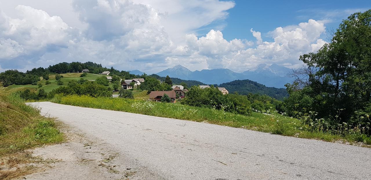 Apartma Pri Bostjanu Škofja Loka Dış mekan fotoğraf