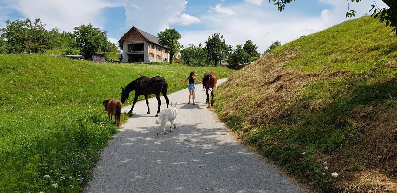 Apartma Pri Bostjanu Škofja Loka Dış mekan fotoğraf