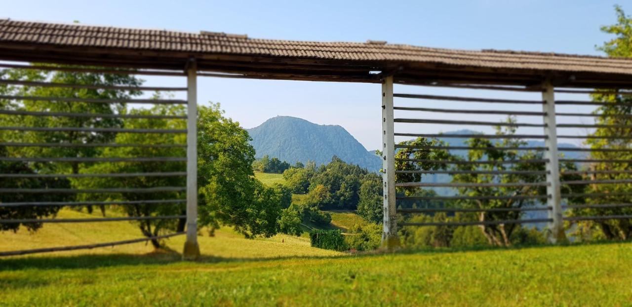 Apartma Pri Bostjanu Škofja Loka Dış mekan fotoğraf