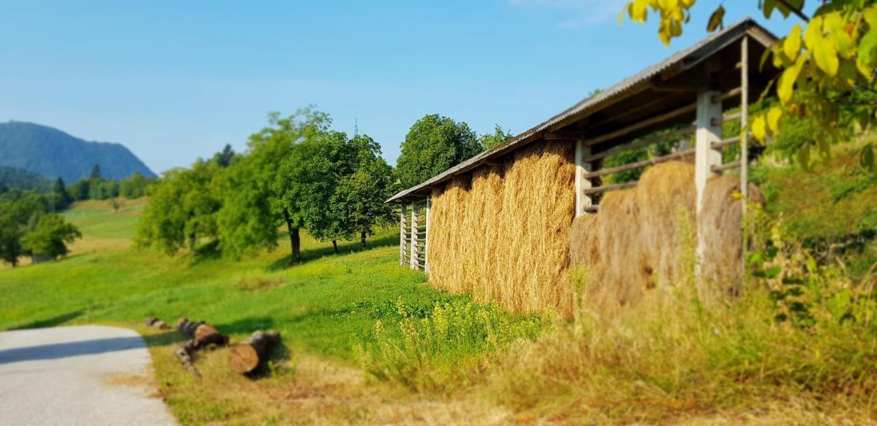 Apartma Pri Bostjanu Škofja Loka Dış mekan fotoğraf