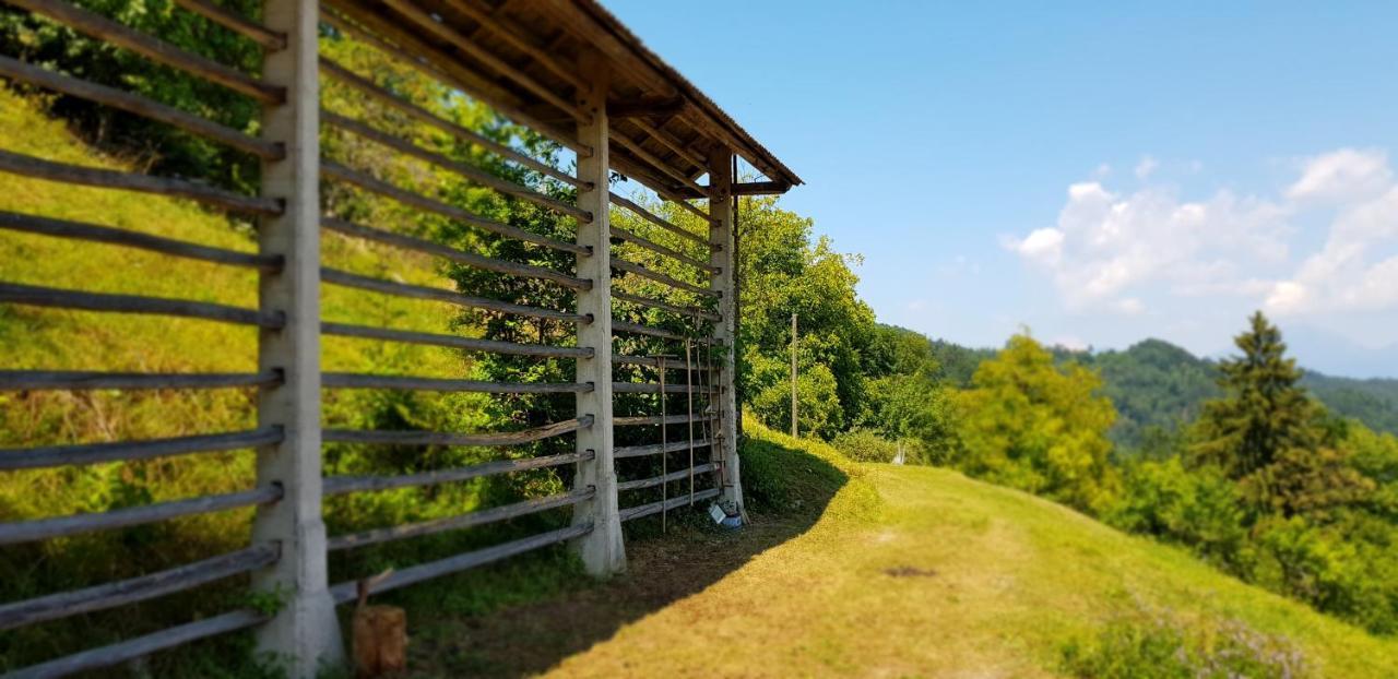 Apartma Pri Bostjanu Škofja Loka Dış mekan fotoğraf
